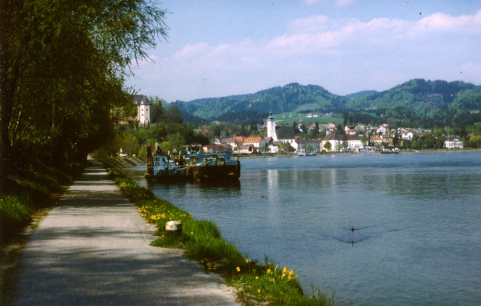Donau-Radweg bei Grein