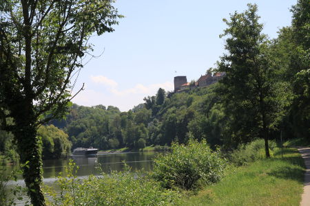 Blick vom Radweg auf den Neckar bei Bad Wimpfen