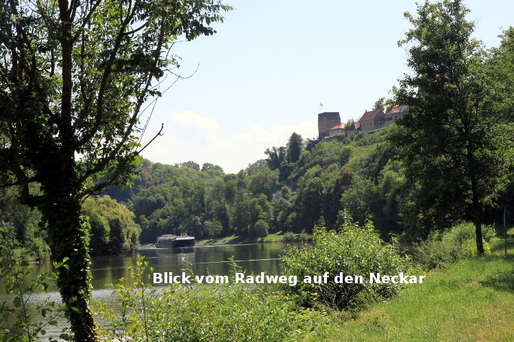 Blick vom Radweg auf den Neckar